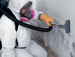  Venus, TX Mold Remediation Pros